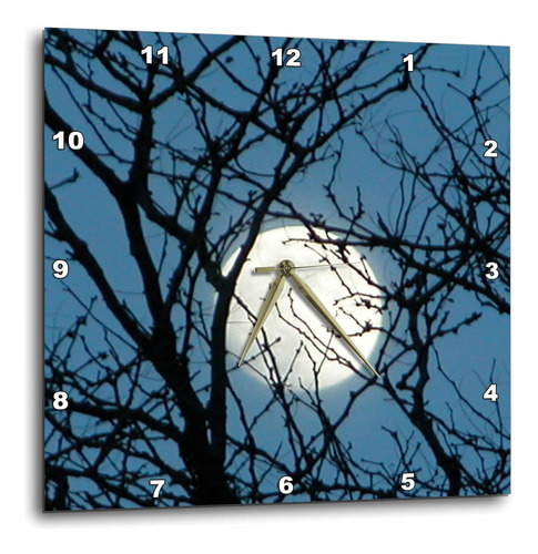 3drose Dpp__3 La Luna Aunque Un Árbol Reloj De Pared, 15 Por