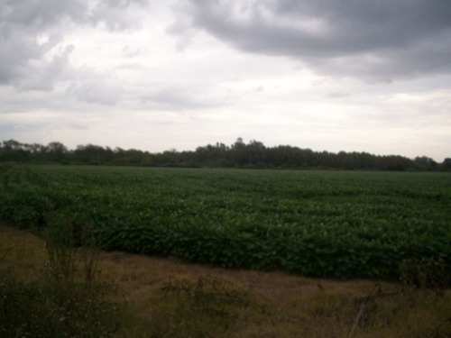 Imagen 6 de 12 de Venta Campo 19 Hectareas En Exaltacion De La Cruz