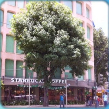 Imagen 1 de 5 de Id 3501 Local Comercial En Renta En Anzures De 105 M2