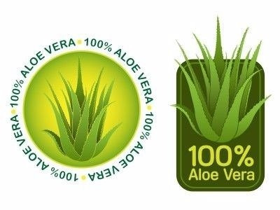 03 Unidades Suco Aloe Vera Babosa Natural