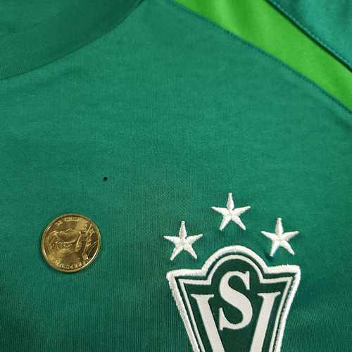 Camiseta De Entrenamiento Santiago Wanderers 2014, Mitre, L (Usado)