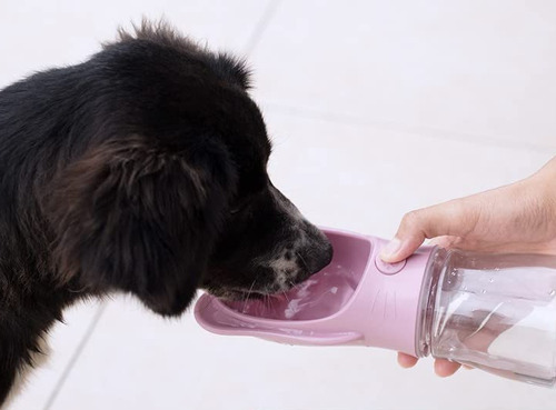 Botella Portátil Para Perros, Bebedero Mascota, Agua, Paseos