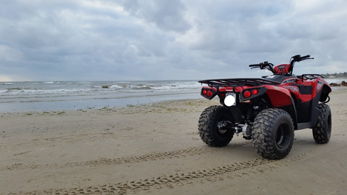 Kawasaki Brute Force 300