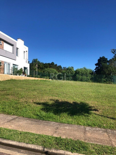 Terreno Em Vila Nova - El56353981