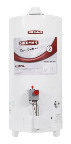 Termotanque De Pie Multigas 50 Lts Sherman 