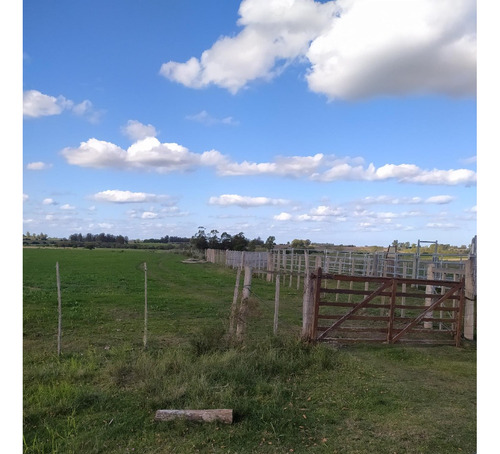 Vendo Muy Lindo Campo Sobre Ruta 33 Casa Todo Alambrado En 4 Potreros, Aguadas