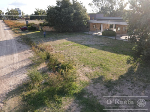 Tierra Para Desarrollo En Venta Sobre Ruta 3 Km 186, Las Flores