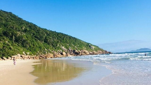 Imagem 8 de 16 de Apartamento Em Florianópolis - Sc - Ap1000_ccon