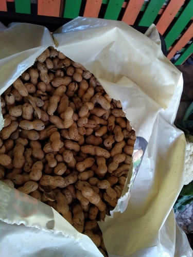 Maní Con Cascara Tostado