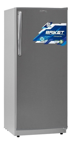 Freezer Briket 6220 Silver Vertical 