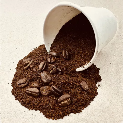 Café de grano o molido San Blas 1 kg – Farvisan