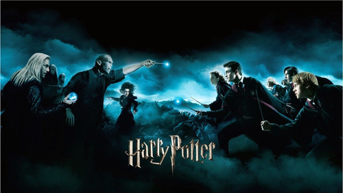 Poster Harry Potter Varios Modelos