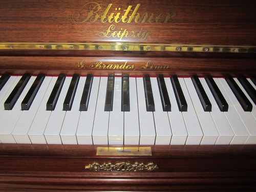 Piano Vertical Aleman De Concierto Bluthner