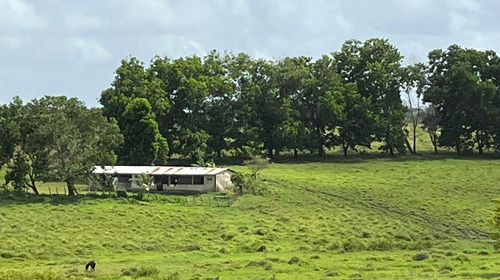 Imagen 16 de 25 de Bella Finca Operativa Ubicada En El Palmar, Estado Bolivar