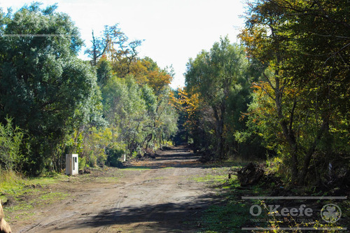 Terreno En Barrio Cerrado Entrelagos Km 14