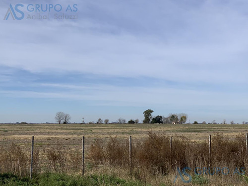 Excelente Campo Agricola De 62,73 Has.