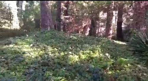 Imagen 3 de 3 de Terreno Lote En Venta Ubicado En Valeria Del Mar, Costa Atlántica, Buenos Aires
