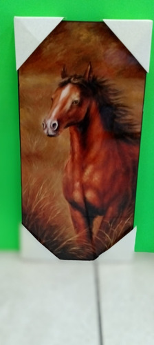 Imagen 3 de 5 de Cuadros De Animales En Oferta