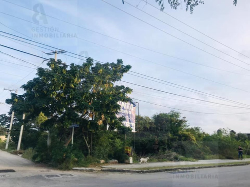 Rento Terreno En Avenida En Esquina En Fracc. Caucel, Mérida