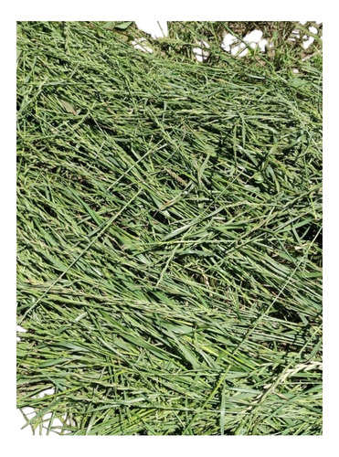 Heno De Pastura 1/2 Kilo