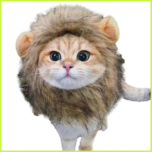 Peruca Pet Gato Leão Kkk.transforme Seu Gato Num Leão Kkk