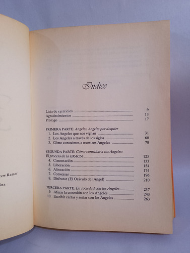 Descubre A Tus Angeles Alma Daniel Timothy Wyllie 86rj (Usado)