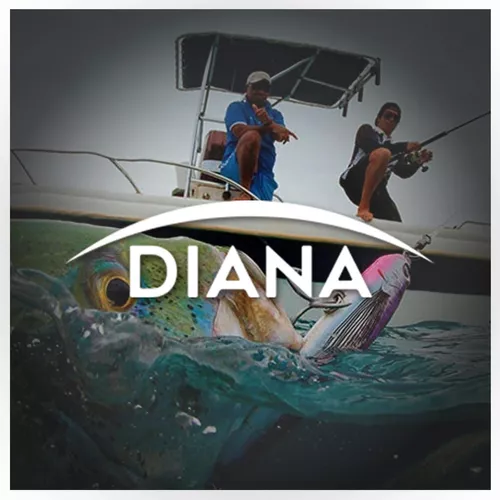 Silla Compacta Plegable Playa Camping – Diana Outdoor