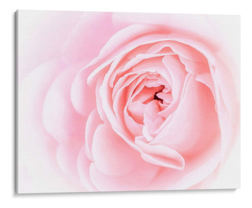 Canvas Lab Cuadro Bonitas Flores Rosas I 40x30