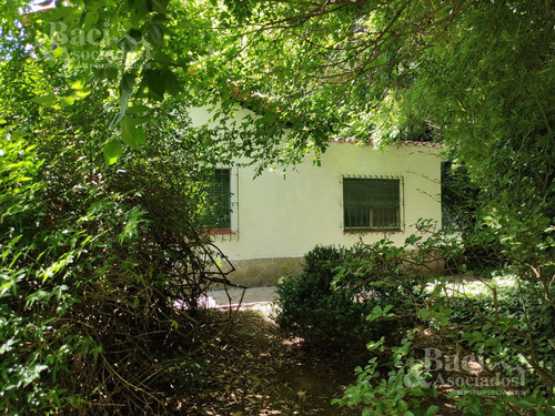 Quinta - Monte Grande