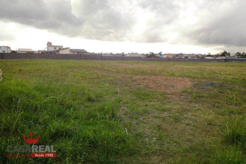 Imagem 15 de 22 de Terreno Industrial À Venda, Novo Mundo, Curitiba - Te0029. - Te0029