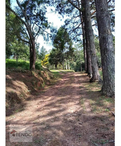 Imagem 7 de 15 de Sítio Com 4 Dormitórios À Venda, 24200 M² Por R$ 955.000 - Chácara Boa Vista Palmeiras - Suzano/sp - Si0007