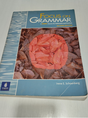 Focus On Grammar Third Edition 