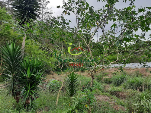 Imagem 8 de 9 de Terreno Itapecerica Da Serra - Vte0567