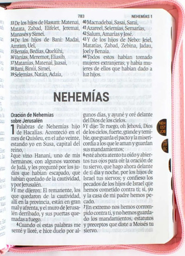 Biblia Reina Valera 1960 Letra Mayor Cierre Indice Marr/rosa