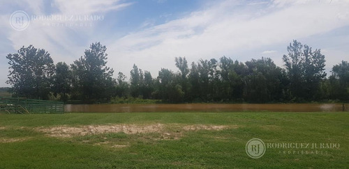 Imagen 2 de 6 de Terreno - El Naudir Al Río Y Con Amarra. Gran Oportunidad!!