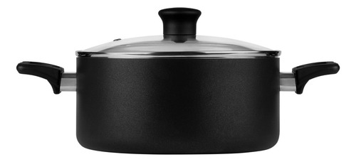 Olla Con Tapa 24 Cm T-fal Everyday, B4694684eve