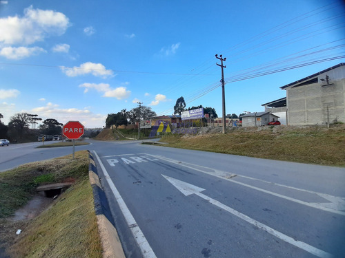 Imagem 13 de 15 de Barracão Em Km 24 - Araucária - 484