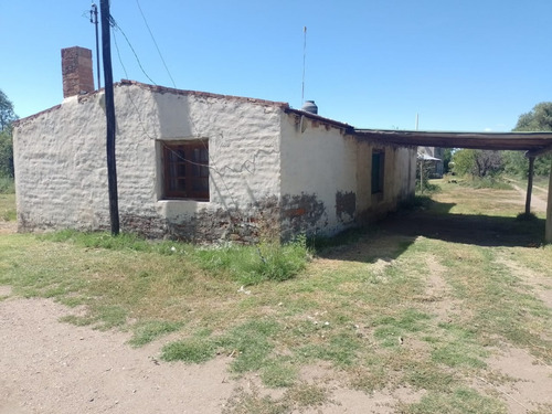 Imagen 5 de 19 de Venta De Casa Con Terreno De 1/2 Hectárea - San Rafael Mendoza