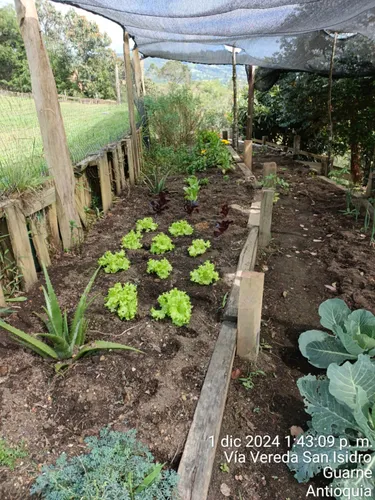 Finca En Venta En Vereda El Sango. Cod V17426