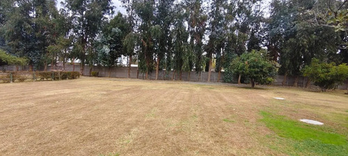 Invierte En Una Parcela Con Dos Casas Y Piscina En Requinoa