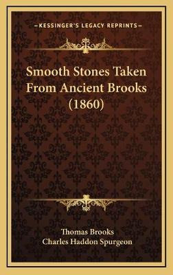 Libro Smooth Stones Taken From Ancient Brooks (1860) - Th...