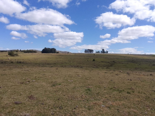 Imagen 3 de 10 de 353 Hectáreas En Lavalleja, Con Casa, Galpón Y Arroyo