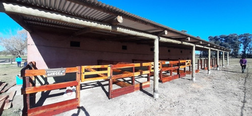 Imagen 1 de 5 de Boxes Y Corrales Redondo De Quebracho Colorado Para Caballos