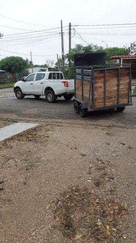 Vendo Traile, Carro Doble Eje Para Dos Caballos