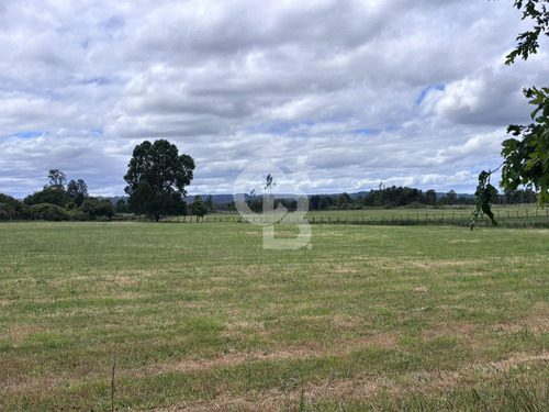 Campo De 26ha A Minutos De Fresia Con Casa