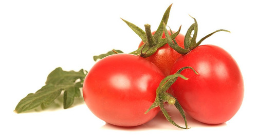 Nutrientes Para Etapa De Floración O Fructificación Tomate