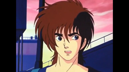 Robots Ninja Serie Completa Anime Ninja Senshi Tobikage