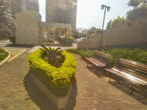 Imagem 25 de 30 de Apto Na Vila Matilde Com 3 Dorms, 1 Vaga, 59m² - Ap13846