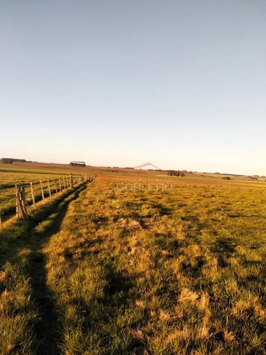Venta De Campo En Rocha, A 10 Min De La Paloma
