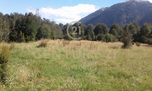 Imagen 6 de 14 de Espectacular Campo En Estero Plateado